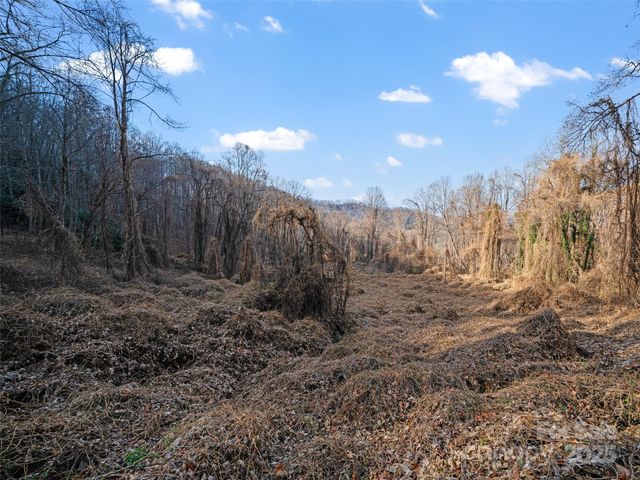 99999 Flora Rose Trail, Asheville, NC 28803