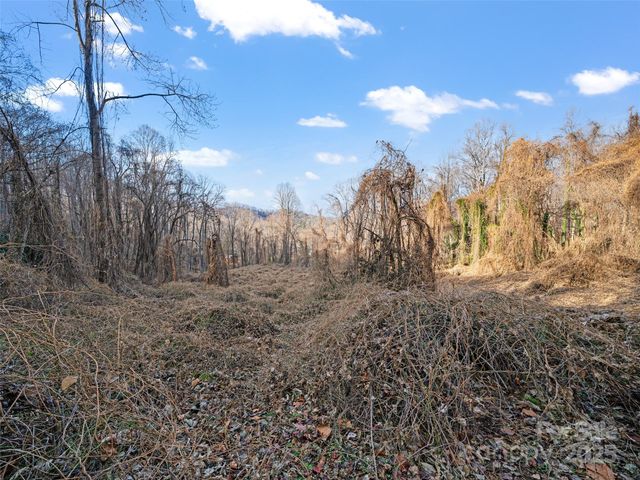 99999 Flora Rose Trail, Asheville, NC 28803