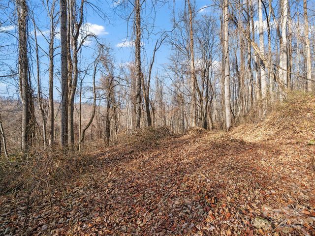 99999 Flora Rose Trail, Asheville, NC 28803