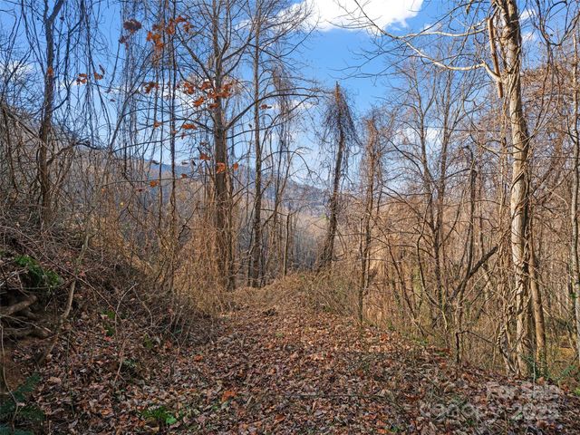 99999 Flora Rose Trail, Asheville, NC 28803