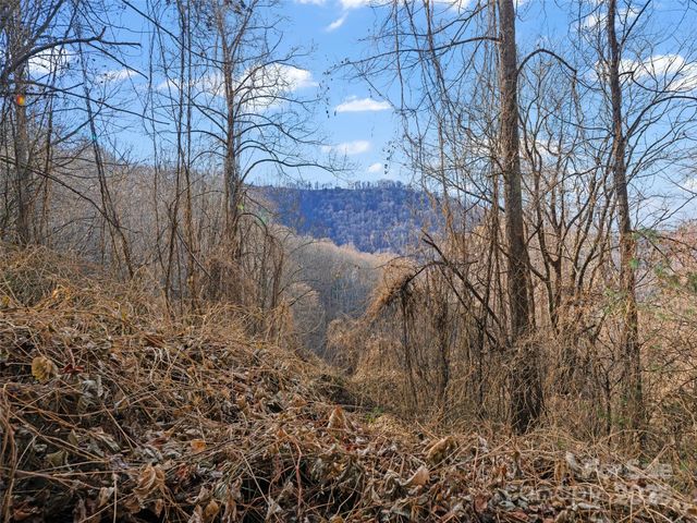 99999 Flora Rose Trail, Asheville, NC 28803