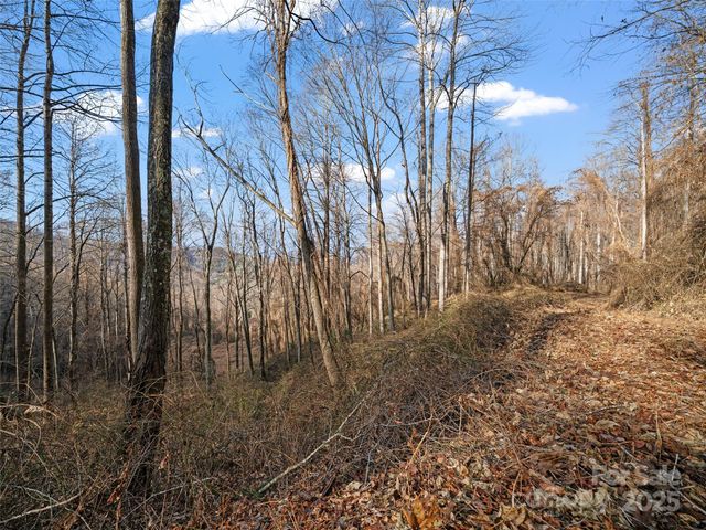 99999 Flora Rose Trail, Asheville, NC 28803