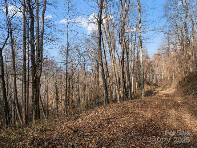 99999 Flora Rose Trail, Asheville, NC 28803