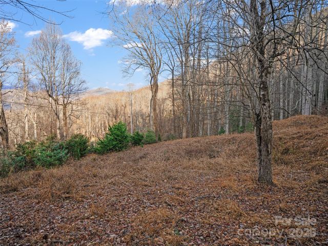 99999 Flora Rose Trail, Asheville, NC 28803