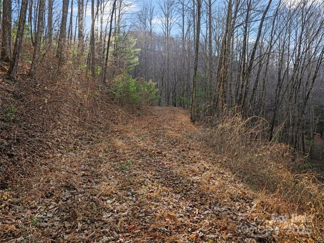 99999 Flora Rose Trail, Asheville, NC 28803