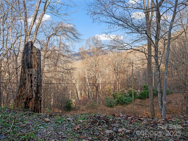 99999 Flora Rose Trail, Asheville, NC 28803