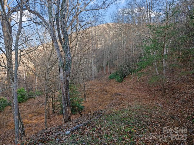 99999 Flora Rose Trail, Asheville, NC 28803