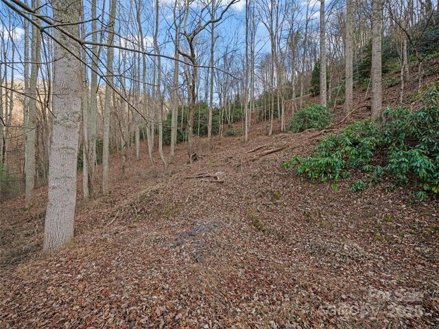 99999 Flora Rose Trail, Asheville, NC 28803