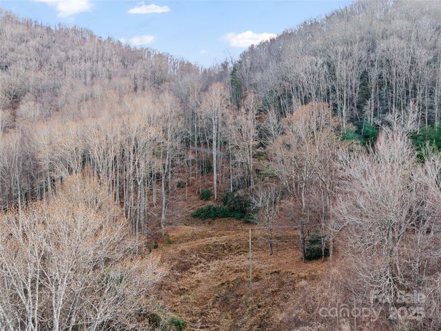 99999 Flora Rose Trail, Asheville, NC 28803
