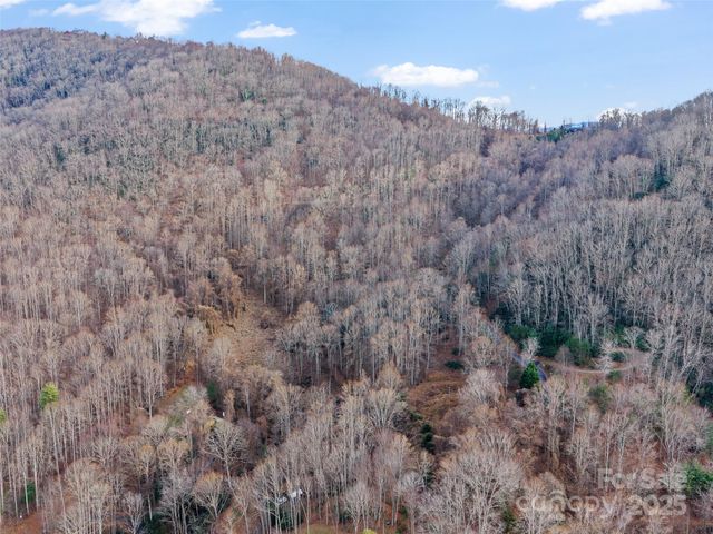 99999 Flora Rose Trail, Asheville, NC 28803