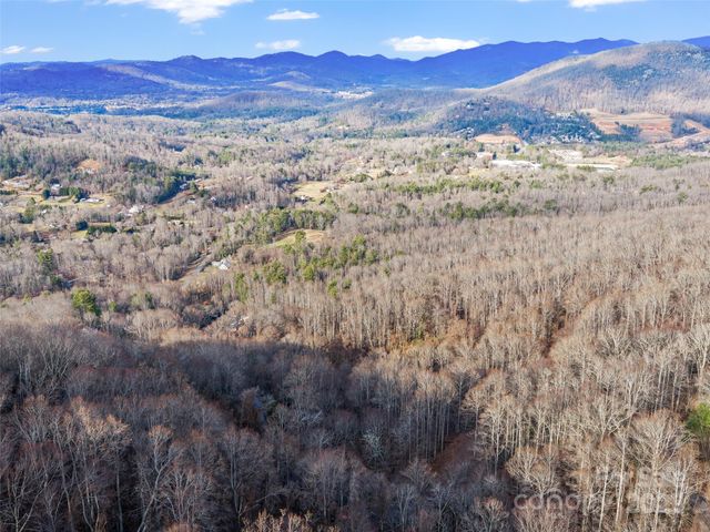 99999 Flora Rose Trail, Asheville, NC 28803