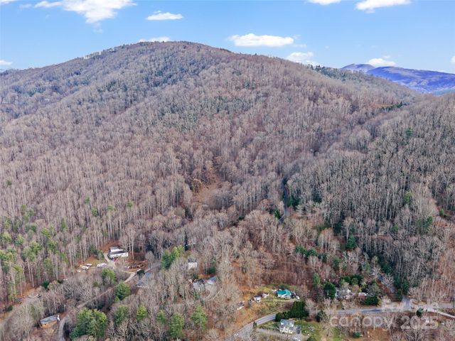 99999 Flora Rose Trail, Asheville, NC 28803