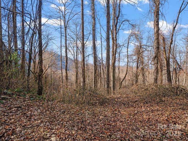 99999 Flora Rose Trail, Asheville, NC 28803