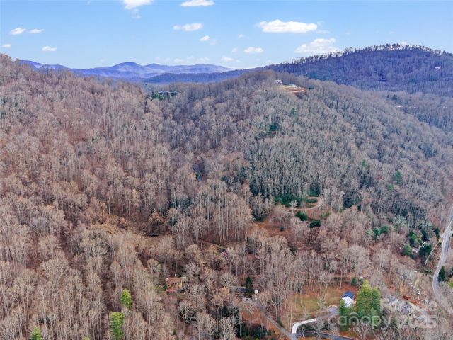 99999 Flora Rose Trail, Asheville, NC 28803