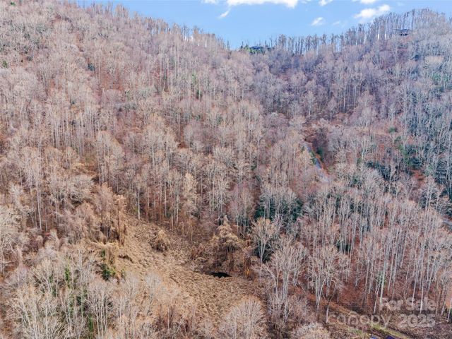 99999 Flora Rose Trail, Asheville, NC 28803