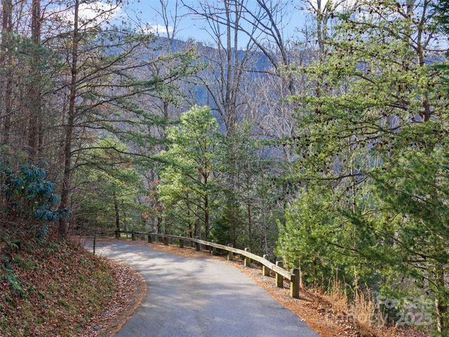 99999 Flora Rose Trail, Asheville, NC 28803