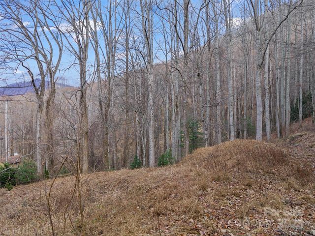 99999 Flora Rose Trail, Asheville, NC 28803