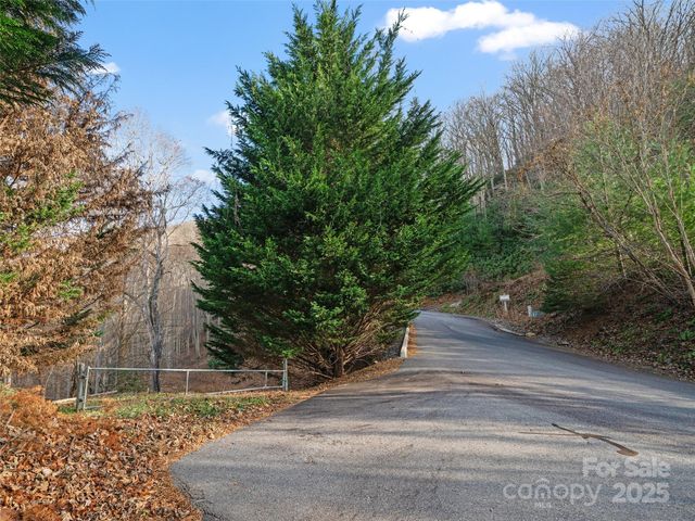 99999 Flora Rose Trail, Asheville, NC 28803