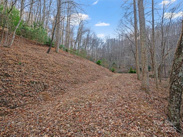 99999 Flora Rose Trail, Asheville, NC 28803