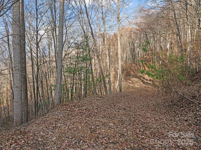 99999 Flora Rose Trail, Asheville, NC 28803