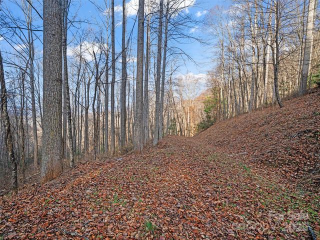 99999 Flora Rose Trail, Asheville, NC 28803