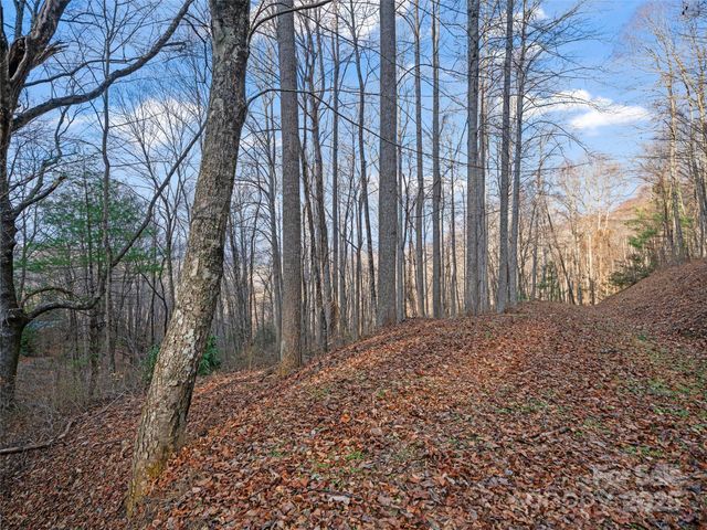 99999 Flora Rose Trail, Asheville, NC 28803