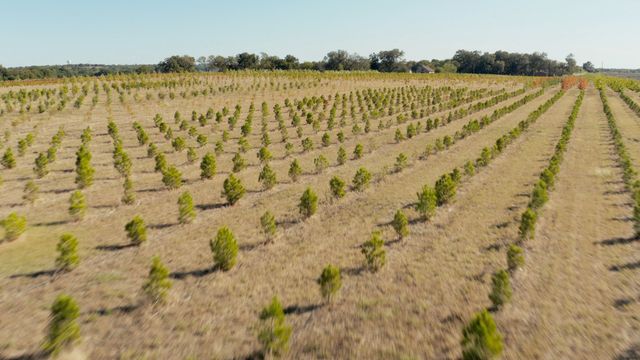 1480 Senkel Drive, Van Alstyne, TX 75495