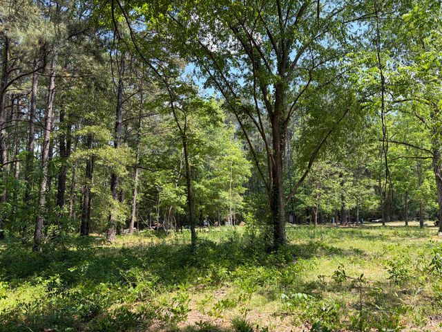 2022 Lumber Road, Ruffin, SC 29475
