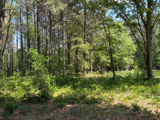 2022 Lumber Road, Ruffin, SC 29475