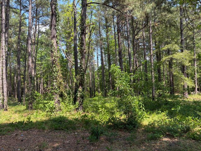 2022 Lumber Road, Ruffin, SC 29475