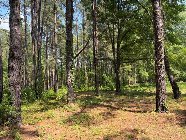 2022 Lumber Road, Ruffin, SC 29475