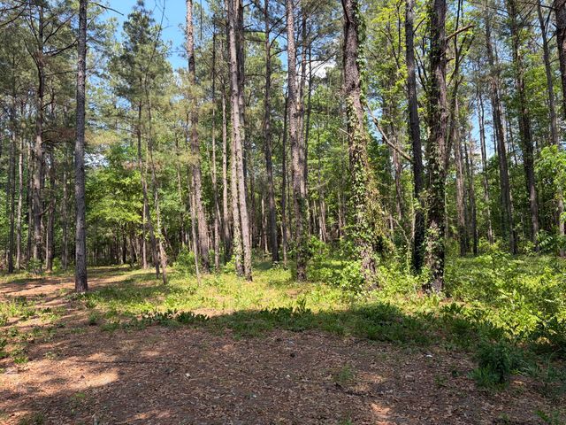 2022 Lumber Road, Ruffin, SC 29475