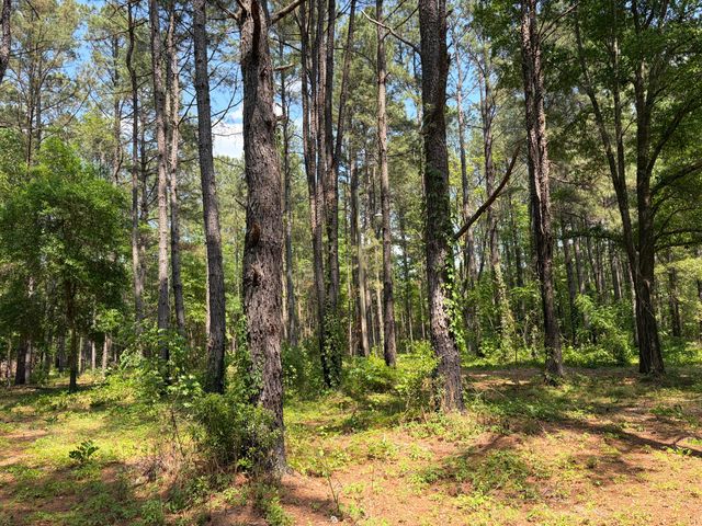 2022 Lumber Road, Ruffin, SC 29475
