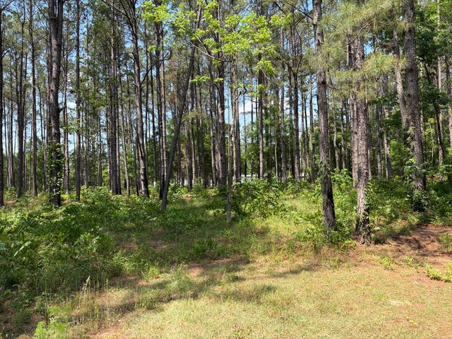 2022 Lumber Road, Ruffin, SC 29475