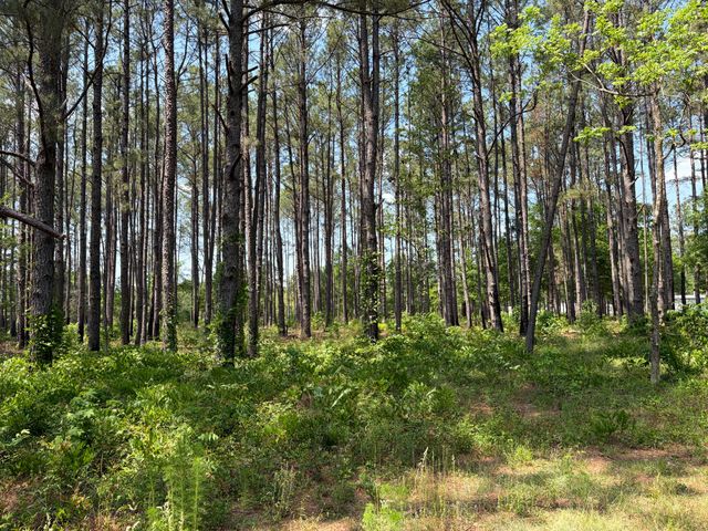 2022 Lumber Road, Ruffin, SC 29475