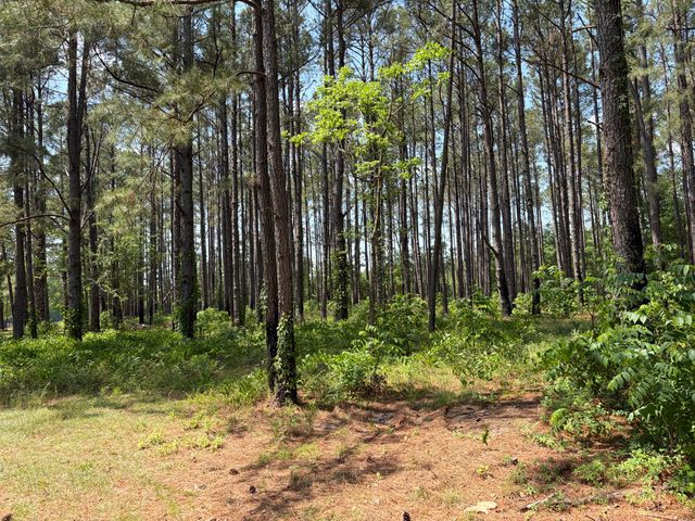 2022 Lumber Road, Ruffin, SC 29475