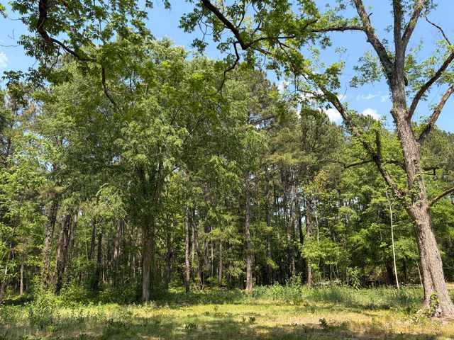 2022 Lumber Road, Ruffin, SC 29475