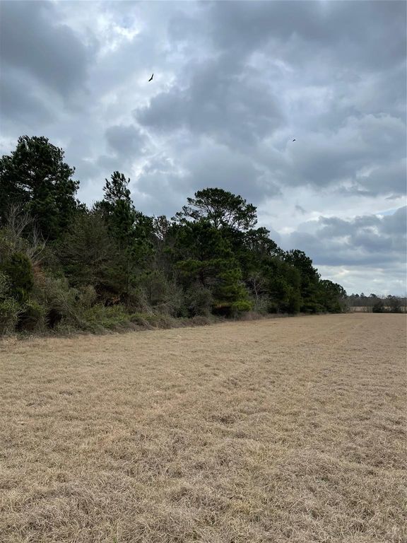 TBD Hegar Road, Hockley, TX 77447
