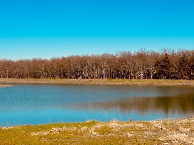 1230 Cherry Bark Drive, Princeton, TX 75407
