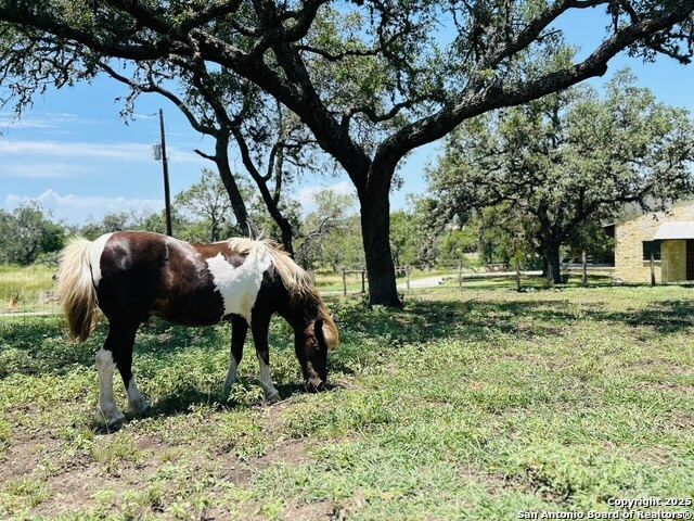 222 State Highway 46 E, Boerne, TX 78006