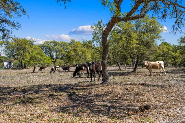 222 State Highway 46 E, Boerne, TX 78006