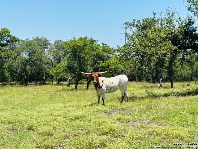 222 State Highway 46 E, Boerne, TX 78006