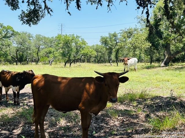 222 State Highway 46 E, Boerne, TX 78006