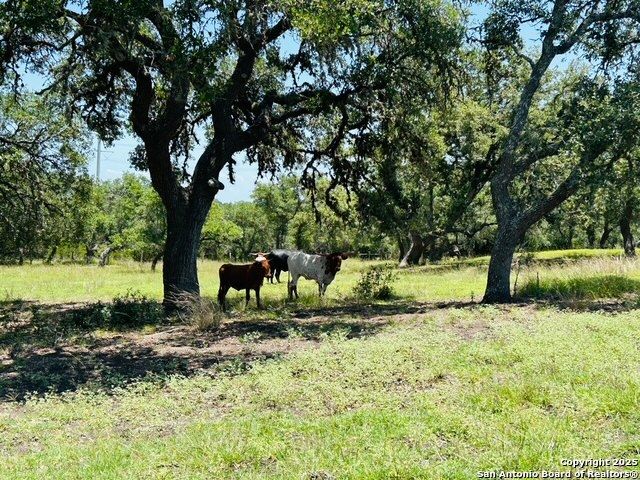 222 State Highway 46 E, Boerne, TX 78006