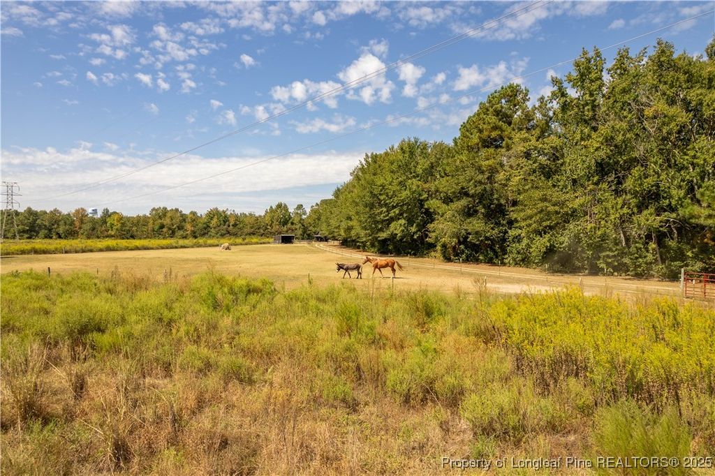 5000 Arabia Drive, Lumber Bridge, NC 28357