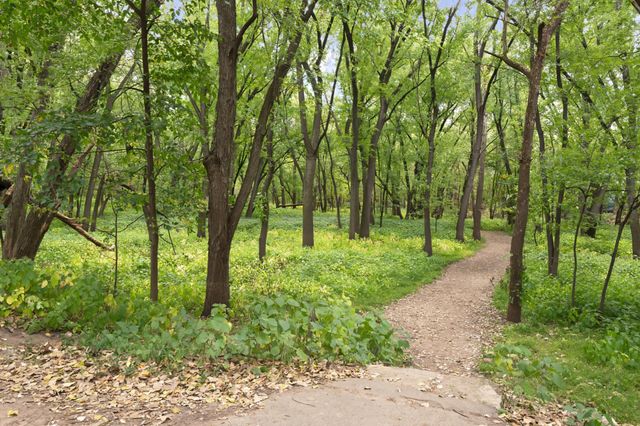 1709 Field Avenue, Saint Paul, MN 55116