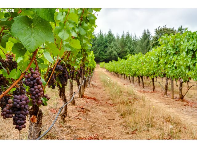 24247 VAUGHN Rd, Veneta, OR 97487