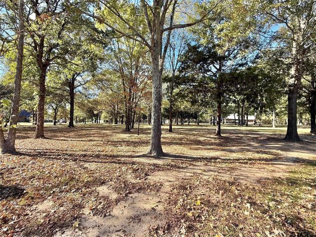 TBD Private Road 5943, Yantis, TX 75497