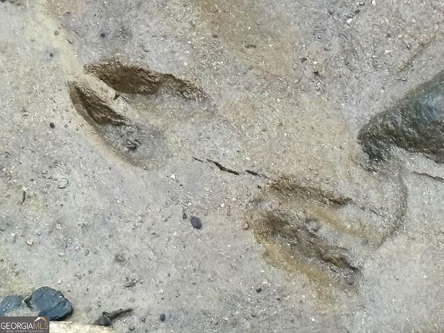 LOT 6 Mt Springer Road, Ellijay, GA 30540