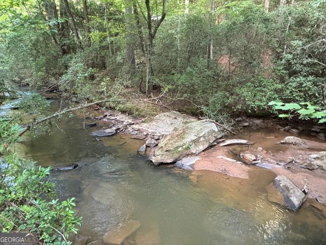 LOT 6 Mt Springer Road, Ellijay, GA 30540